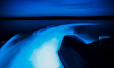 Bioluminescence
