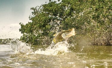 Fishing & Snorkeling
