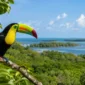 belize wildlife in the quiet places that matter featured 85x85