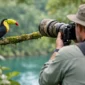 how to photograph birds in belize respectfully featured 85x85